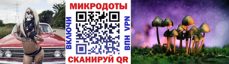 Псилоцибиновые грибы мицелий  Мещовск 